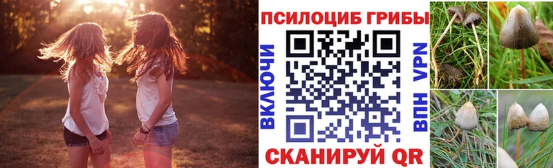 цены наркотик  Чекалин  Галлюциногенные грибы Psilocybe 